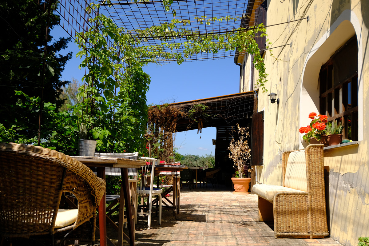 Garden for relax