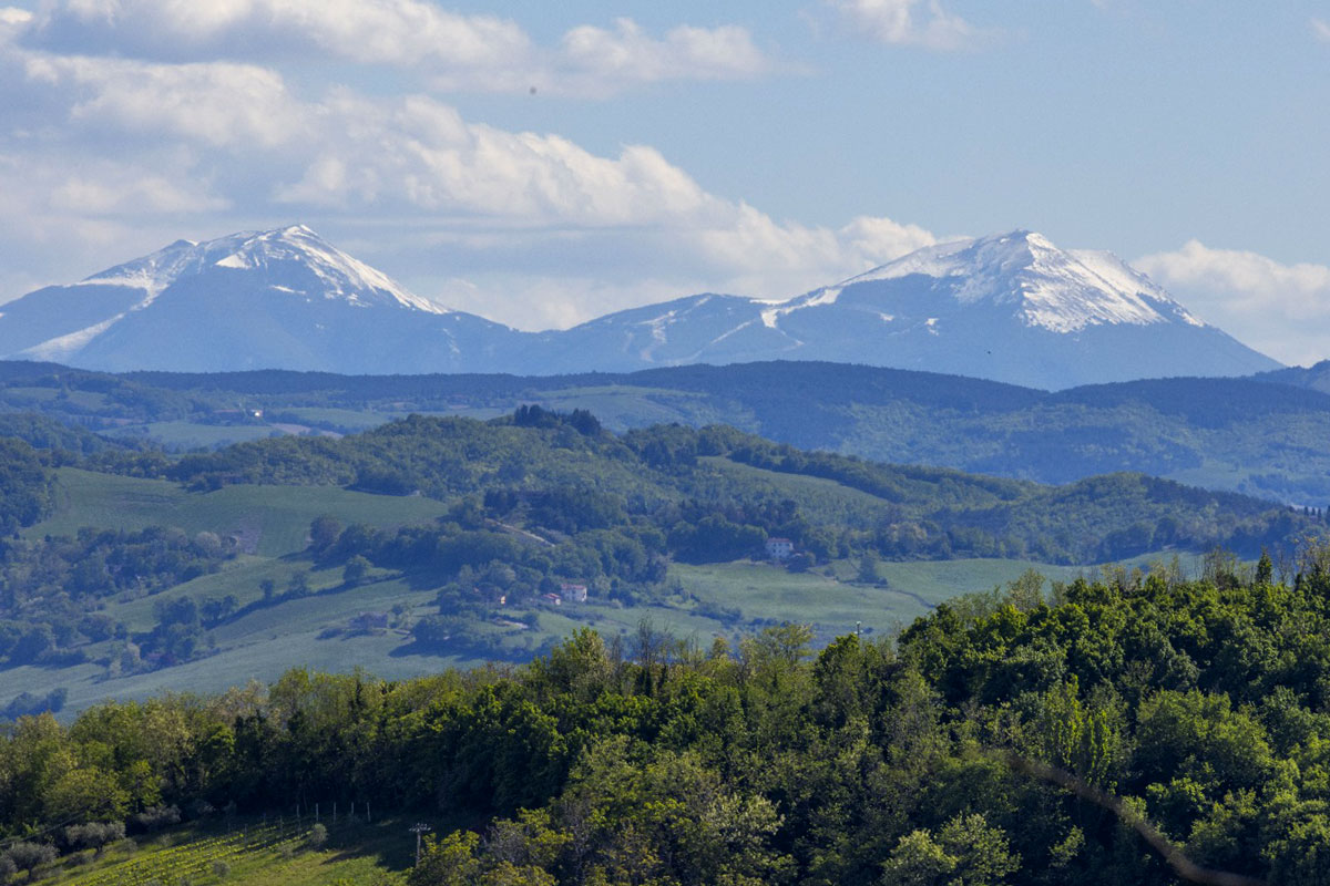 Entroterra Marchigiano