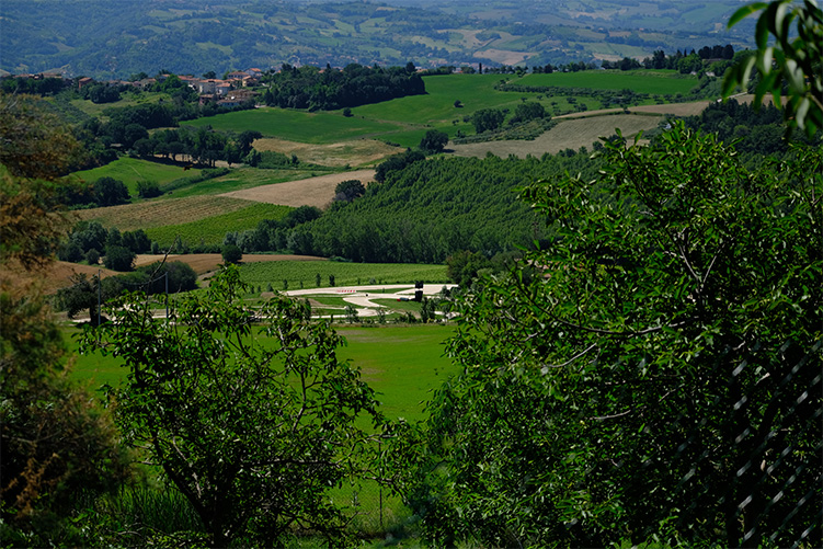 Motociclismo Tavullia